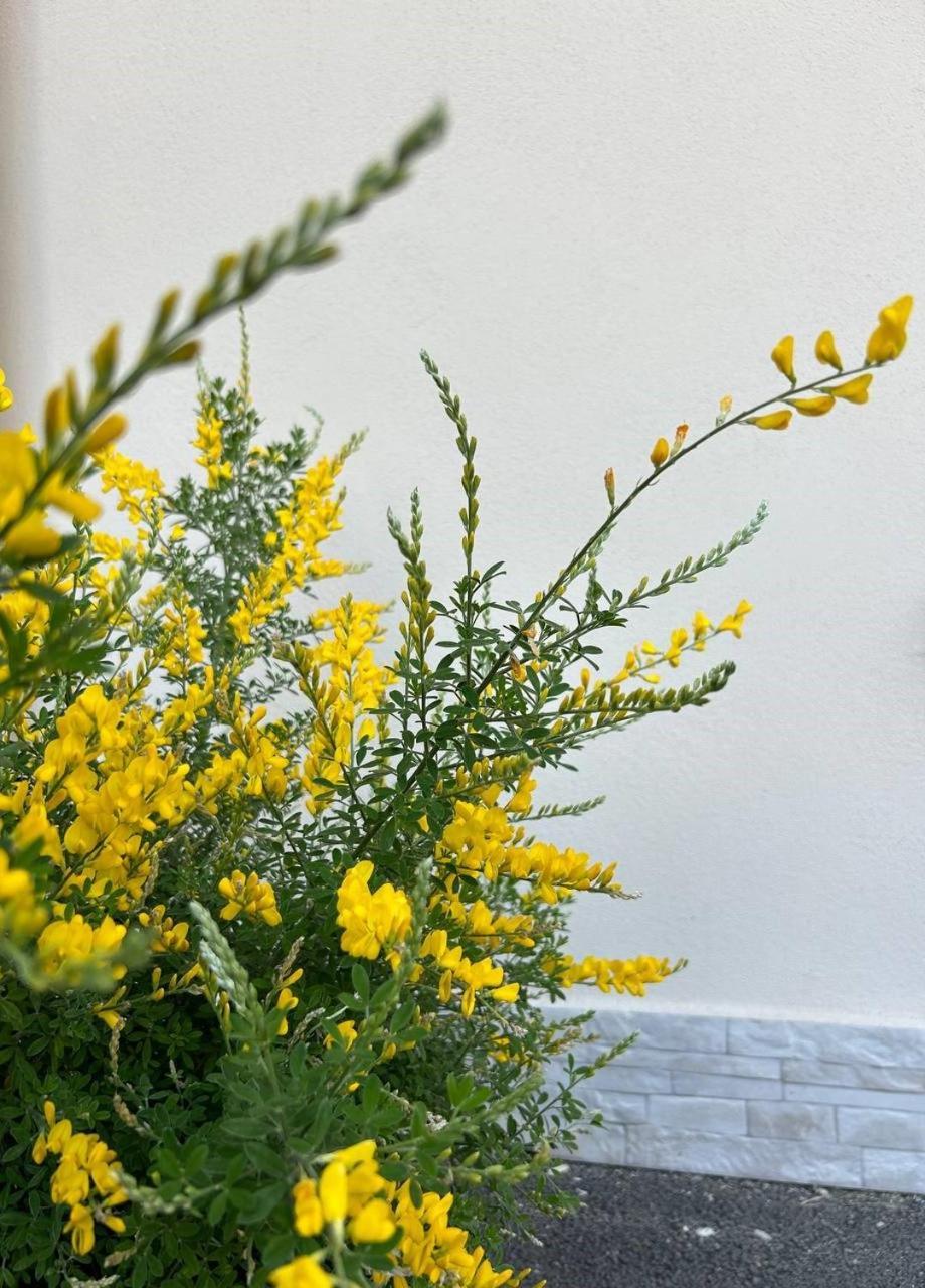B&B La Ginestra Scafati Esterno foto